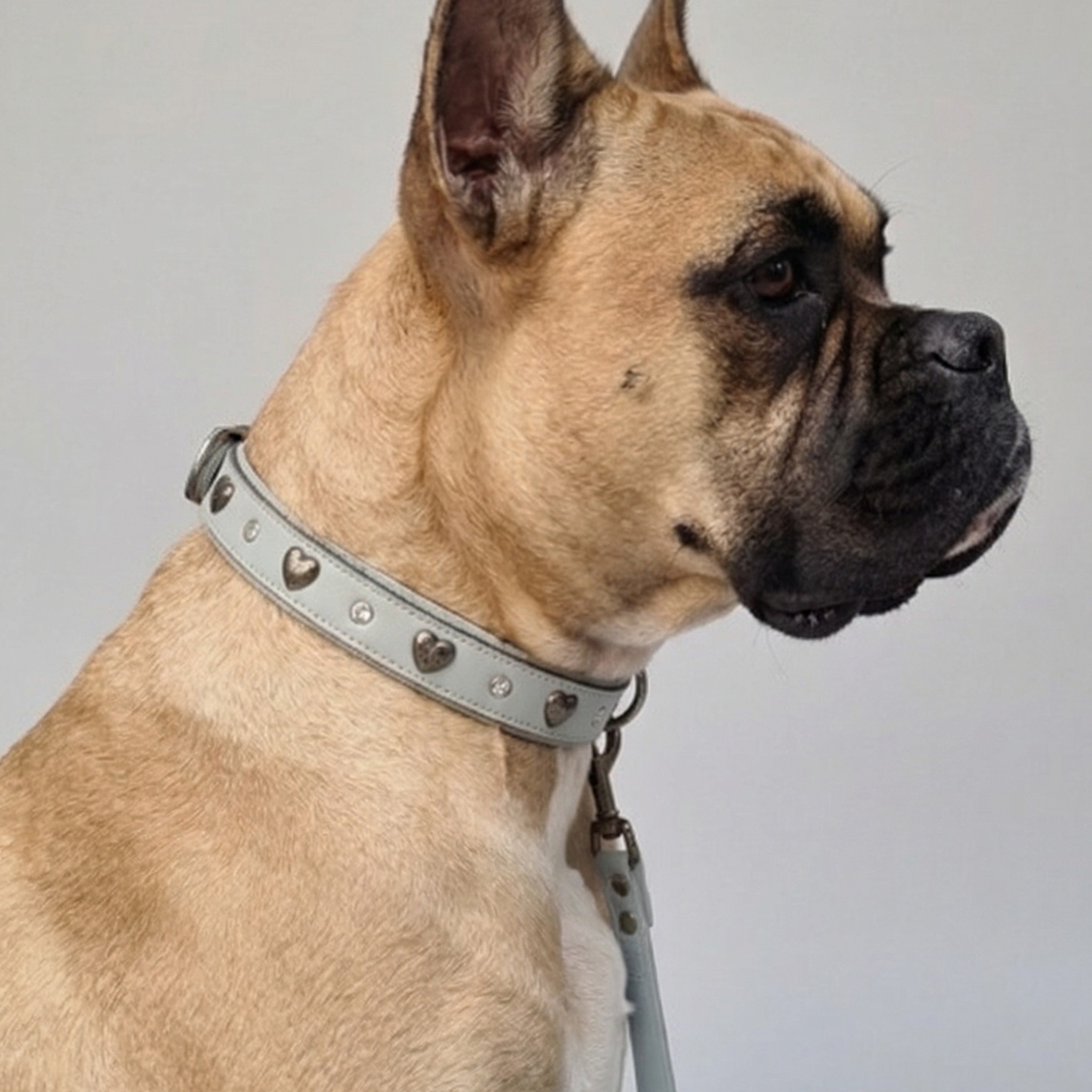 Set Collare con Cristalli e Guinzaglio in Pelle per Cani